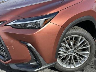 2025 Lexus NX 350 Premium